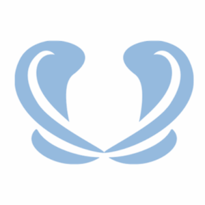 Support your Floor™ - Singapore (Authentic Movement)